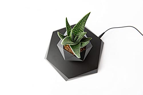 Levitating Plant Pot