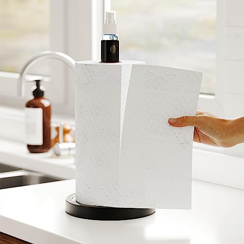 2 in 1 Paper Towel Holder with Spray Bottle