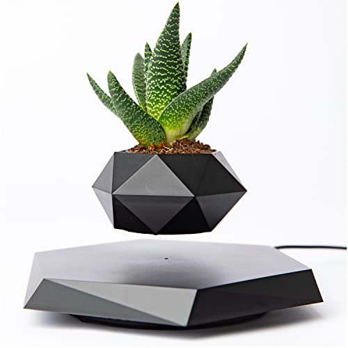 Levitating Plant Pot