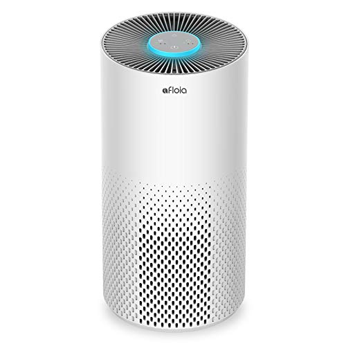 Air Purifiers