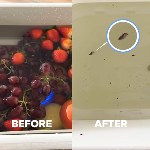 Fruit and Vegetable Washing Machine