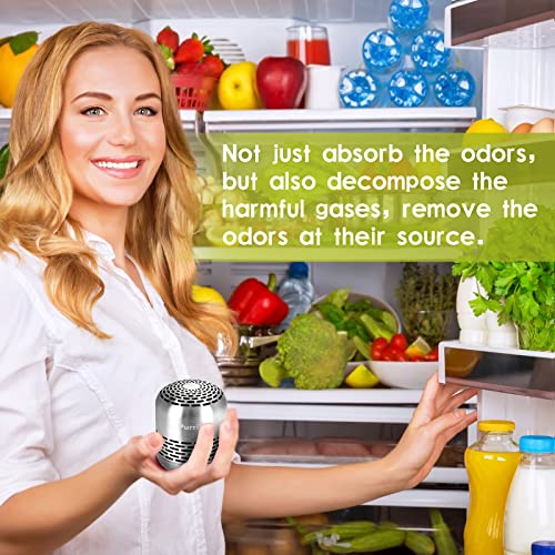 Refrigerator Deodorizer