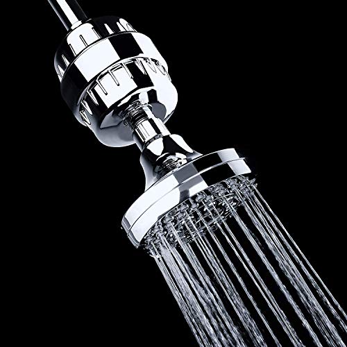 Revitalizing Shower Filter