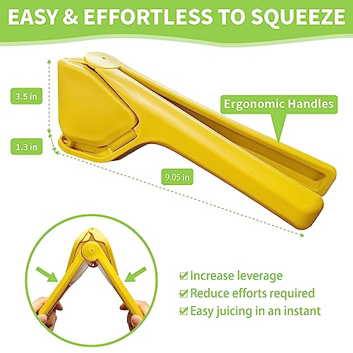 Lemon Juicer Squeezer