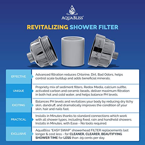 Revitalizing Shower Filter