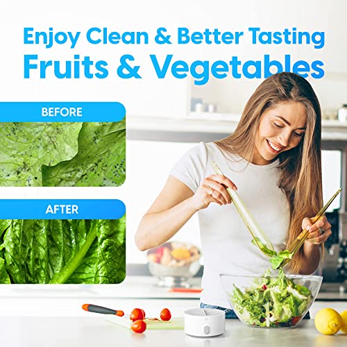 Fruit and Vegetable Washing Machine