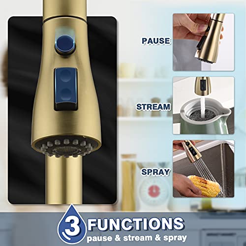 Brushed Gold Kitchen Faucet with Pull Down Sprayer